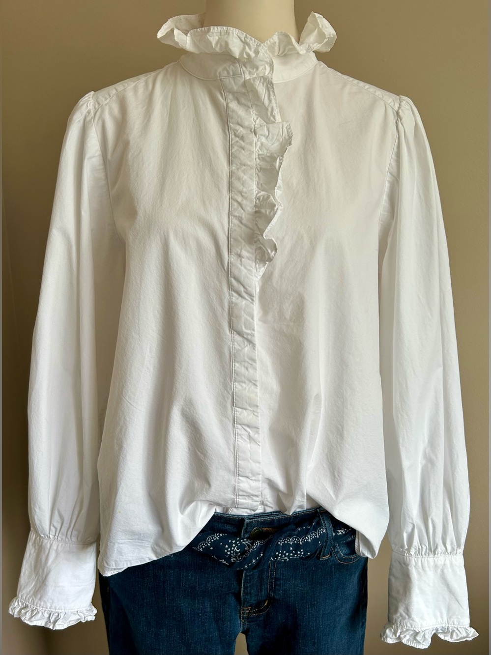 Banana Republic Cotton Ruffled Blouse